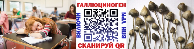 Галлюциногенные грибы мухоморы  ОМГ ОМГ как войти  Горнозаводск 